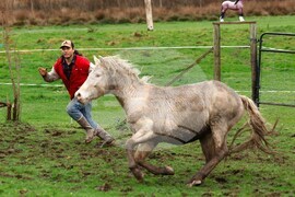 Extreme Weather Washington Flooding