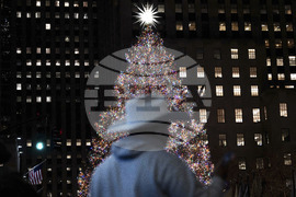 New York Daily Life Holiday Lights