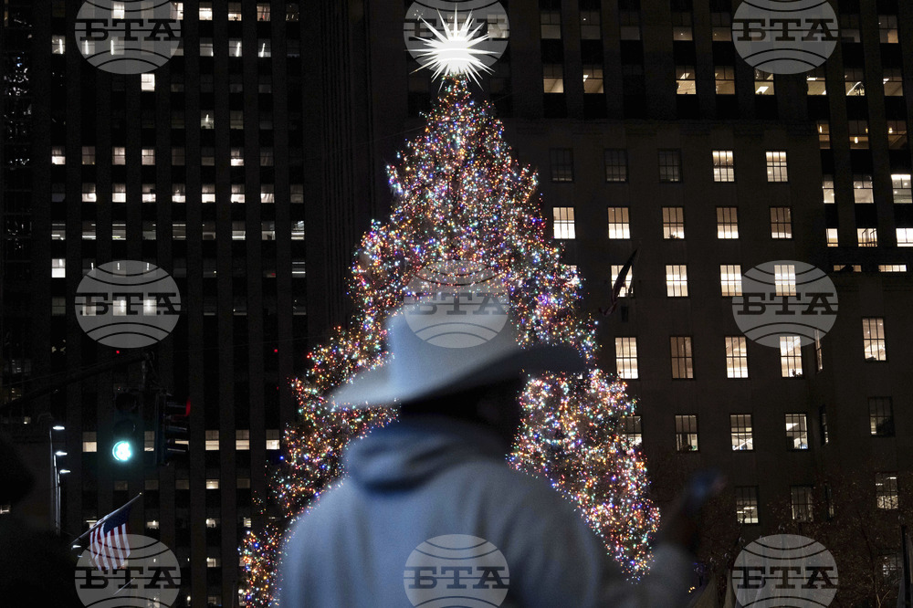 New York Daily Life Holiday Lights
