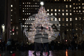 New York Daily Life Holiday Lights