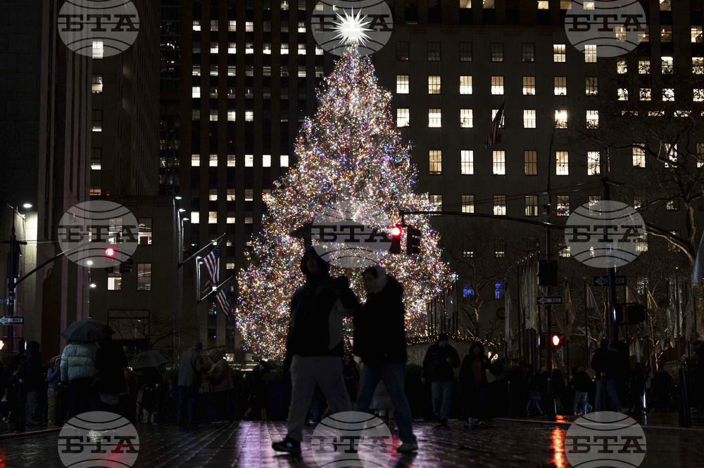 New York Daily Life Holiday Lights