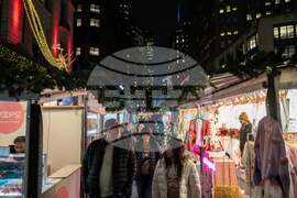 New York Daily Life Holiday Lights