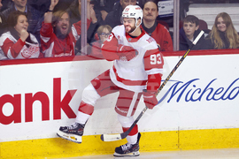 Red Wings Flames Hockey