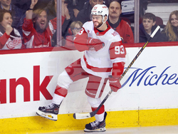 Red Wings Flames Hockey