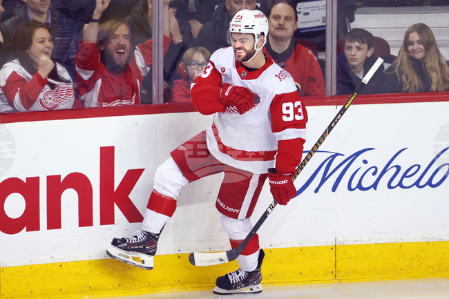 Red Wings Flames Hockey