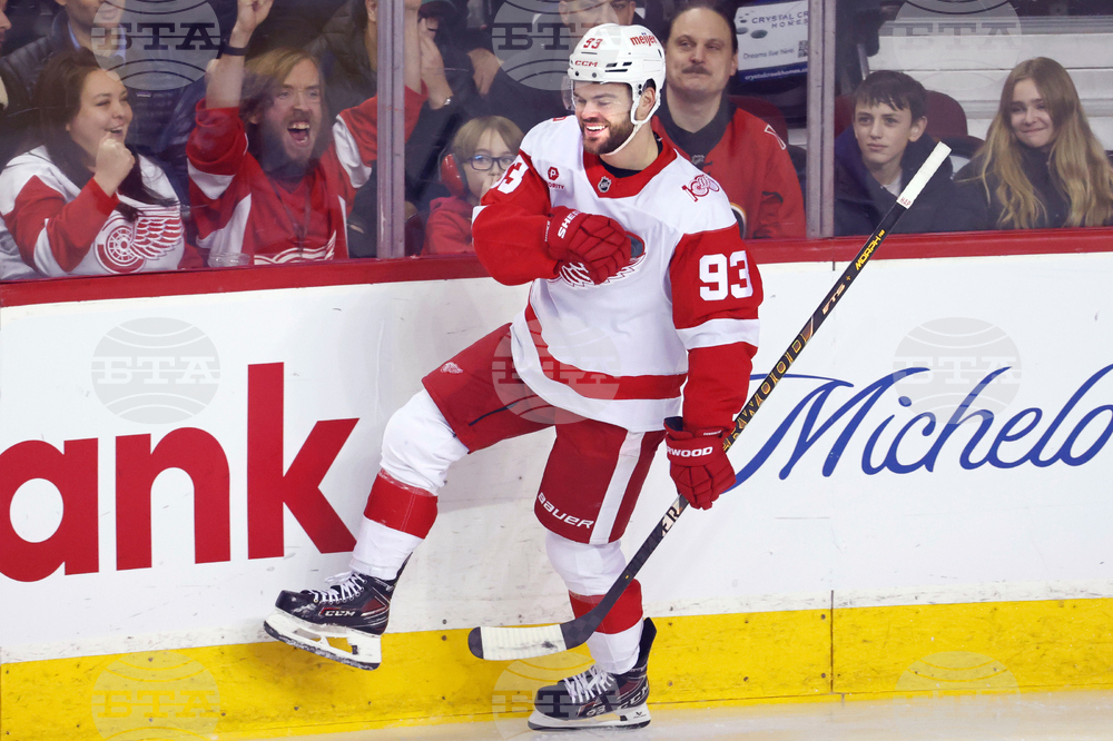 Red Wings Flames Hockey