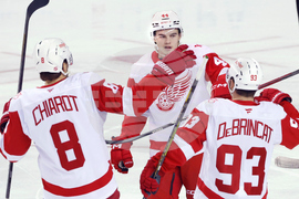 Red Wings Flames Hockey