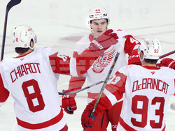 Red Wings Flames Hockey