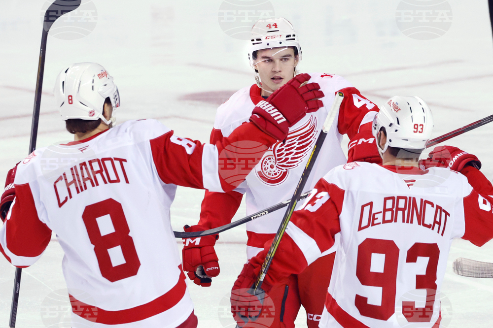 Red Wings Flames Hockey