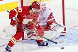 Red Wings Flames Hockey