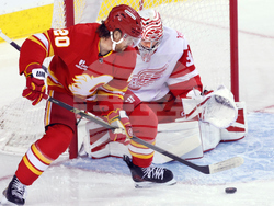 Red Wings Flames Hockey