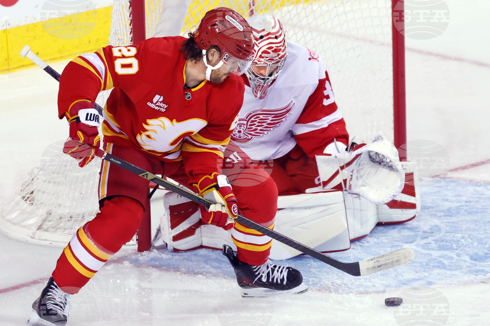 Red Wings Flames Hockey