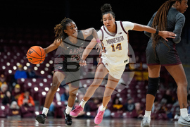 Alabama A M Minnesota Basketball