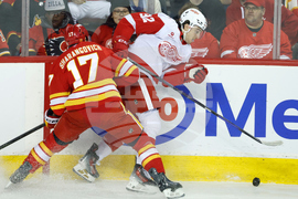 Red Wings Flames Hockey