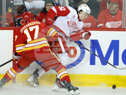 Red Wings Flames Hockey
