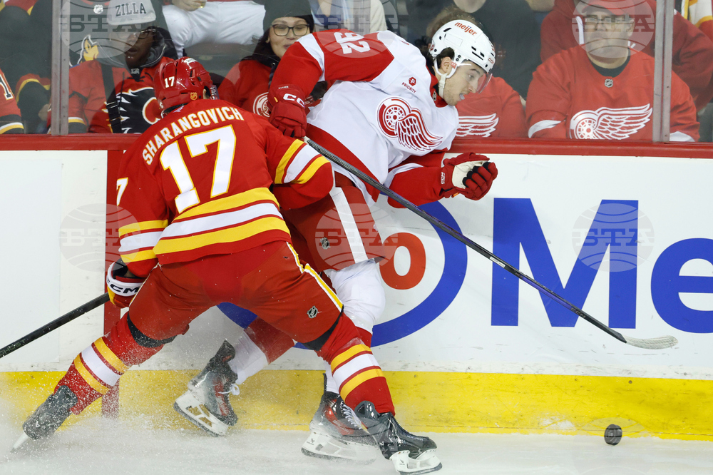 Red Wings Flames Hockey