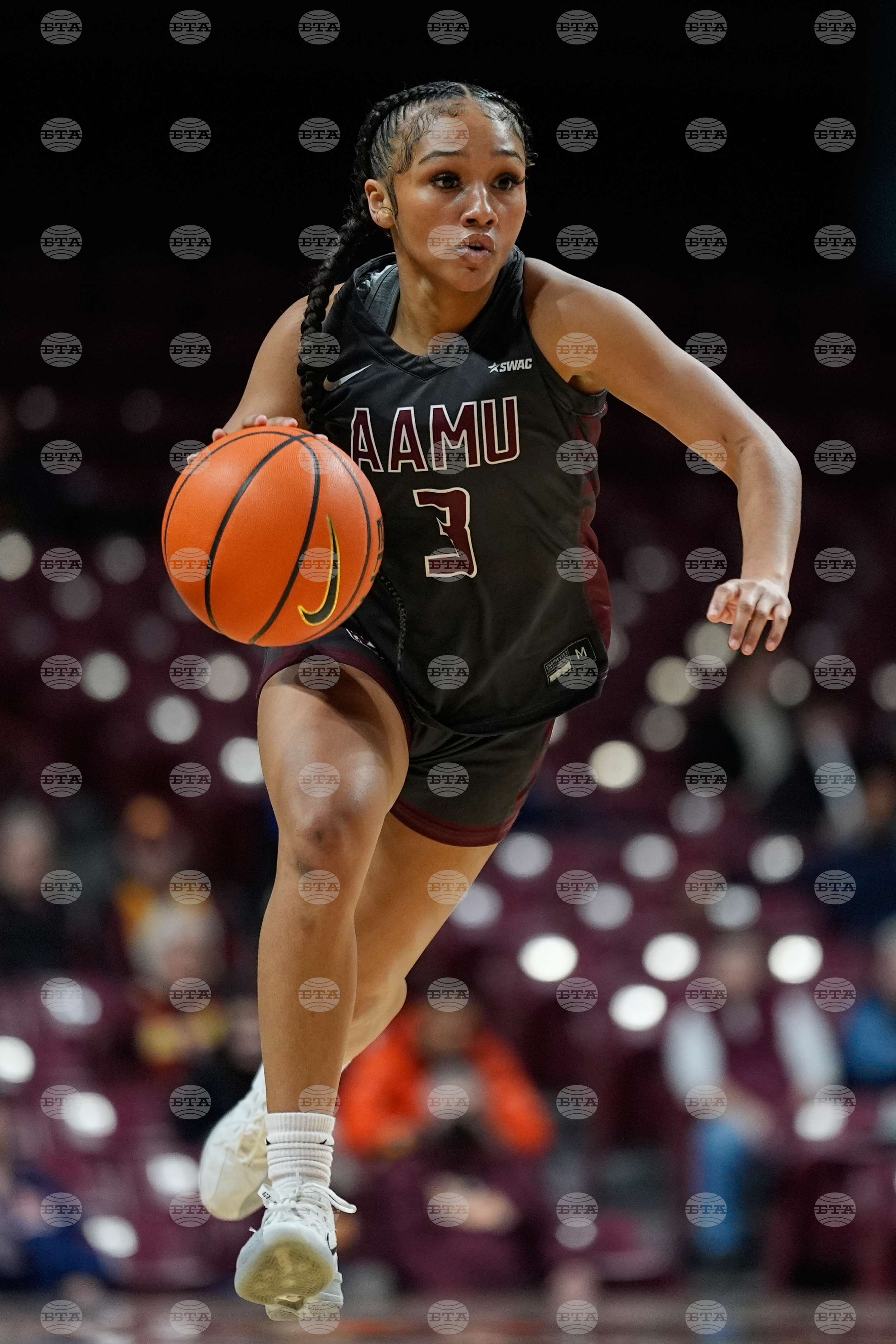 Alabama A M Minnesota Basketball