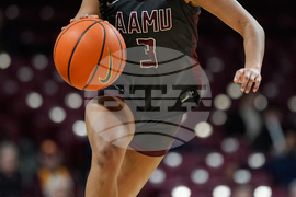 Alabama A M Minnesota Basketball