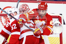 Red Wings Flames Hockey