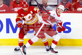 Red Wings Flames Hockey