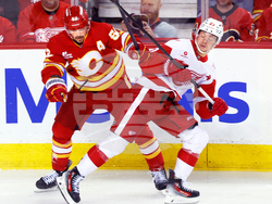 Red Wings Flames Hockey