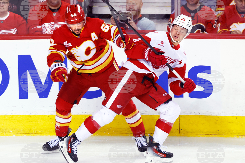 Red Wings Flames Hockey