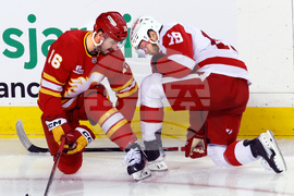 Red Wings Flames Hockey