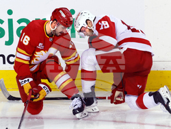 Red Wings Flames Hockey