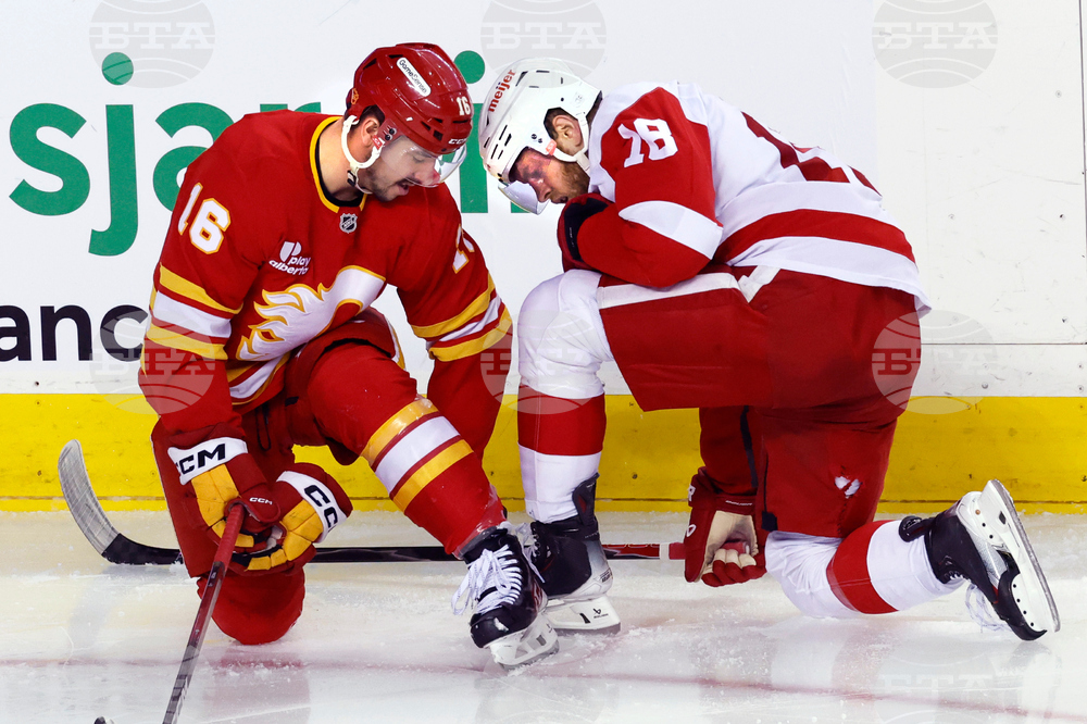 Red Wings Flames Hockey