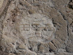 Milan Cortina Verona Arena