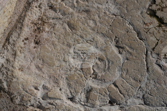 Milan Cortina Verona Arena