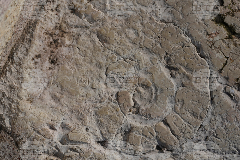 Milan Cortina Verona Arena