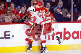 Red Wings Flames Hockey