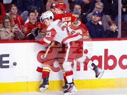 Red Wings Flames Hockey