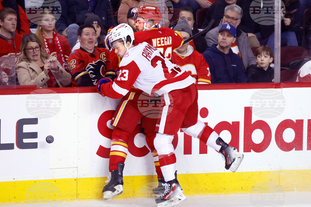 Red Wings Flames Hockey