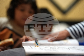 Immigration Family Separation