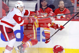 Red Wings Flames Hockey