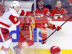 Red Wings Flames Hockey