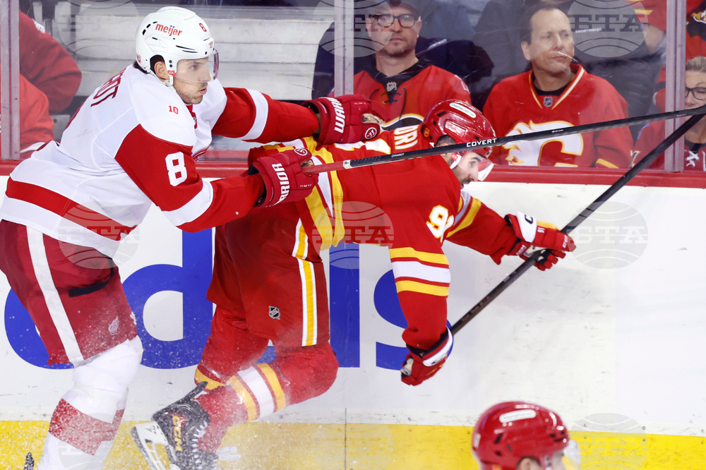 Red Wings Flames Hockey