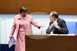 Народно събрание - заседание