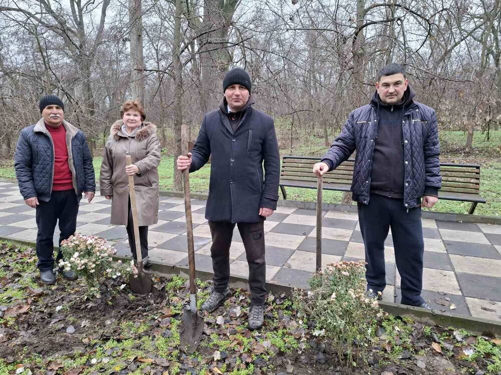 Доброволци и местната власт засадиха над 30 хризантеми в градския парк в Болград, Украйна, в рамките на международен проект