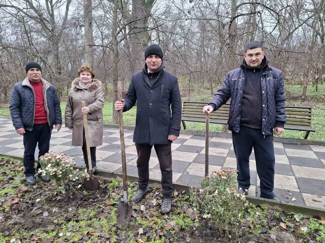 Доброволци и местната власт засадиха над 30 хризантеми в градския парк в Болград, Украйна, в рамките на международен проект