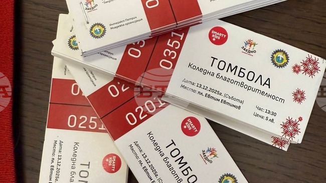 По инициатива на Сдружение "Заедно можем повече" в Петрич ще се проведат благотворителен базар и томбола