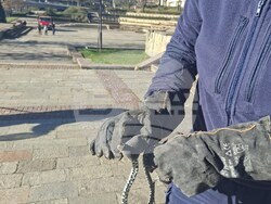 Смолян - змия