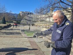 Смолян - змия