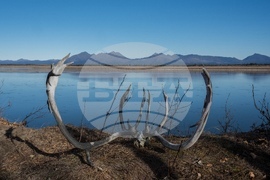 Climate Alaska Food Impact