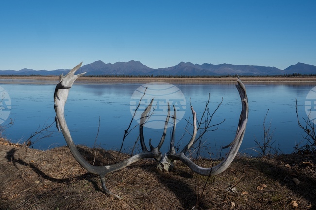 Climate Alaska Food Impact