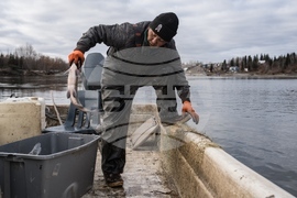 Climate Alaska Food Impact Takeaways