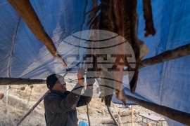 Climate Alaska Food Impact