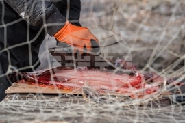 Climate Alaska Food Impact